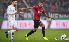 九游官方网站-猛虎队士气高涨，力求延续良好状态的简单介绍